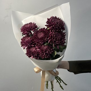 Букет из 7 хризантем Bigoudi