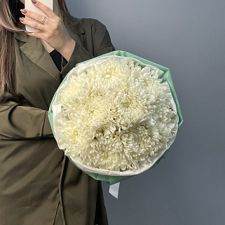 Букет из 11 белых хризантем