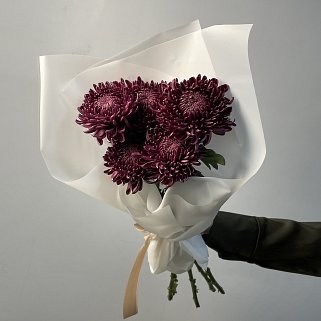 Букет из 5 хризантем Bigoudi