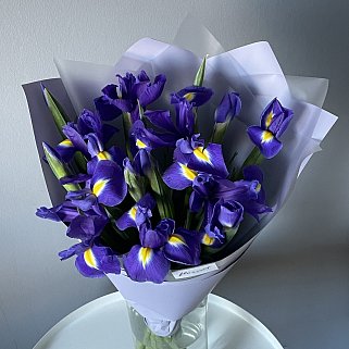 Букет из 15 ирисов