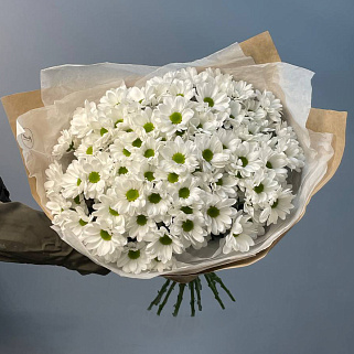 Букет из 15 белых кустовых хризантем Bacardi