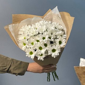 Букет из 5 белых кустовых хризантем Bacardi