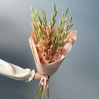 Букет из 9 персиковых гладиолусов