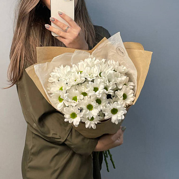 Букет из 5 белых кустовых хризантем Bacardi