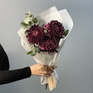 Букет из 3 хризантем Bigoudi
