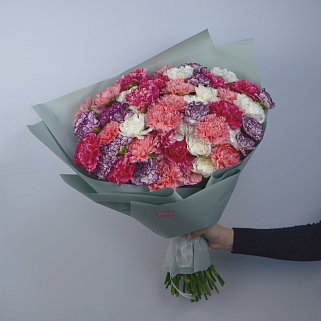 Букет из 51 диантуса