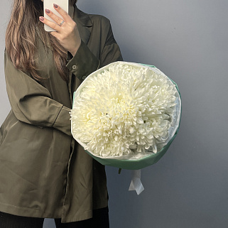 Букет из 7 белых хризантем