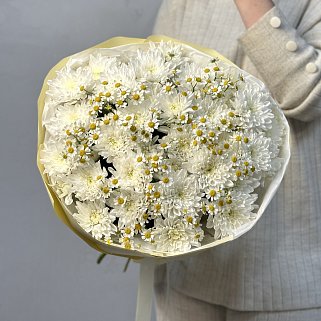 Дуо-букет хризантем Baltica и матрикарии S