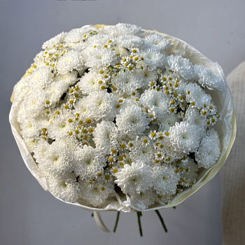 Дуо-букет хризантем Baltica и матрикарии L