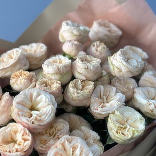 Букет из 5 кустовых пионовидных роз Gentle Trendsetter