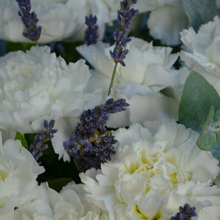 Букет из белых гвоздик и лаванды