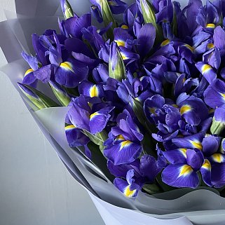 Букет из 51 ириса