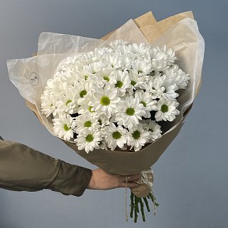 Букет из 11 белых кустовых хризантем Bacardi