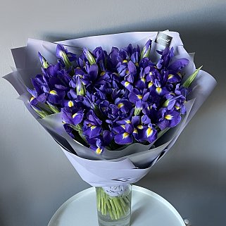 Букет из 51 ириса