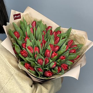 Букет из 51 красного тюльпана
