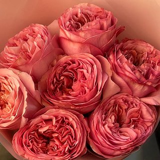 Букет пионовидных роз Pink Expression XS