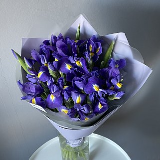 Букет из 25 ирисов