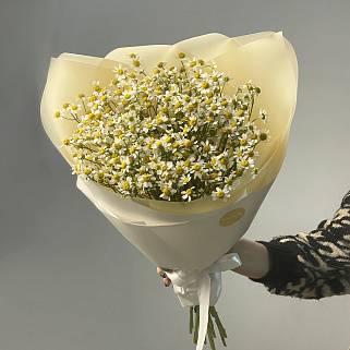 Букет ромашек M