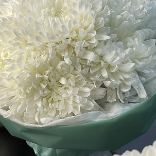 Букет из 7 белых хризантем