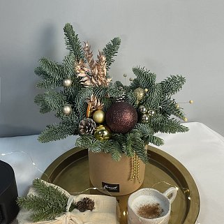 Зимняя композиция Брауни S