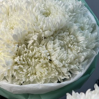 Букет из 11 белых хризантем