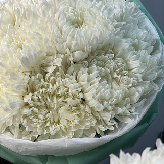 Букет из 11 белых хризантем