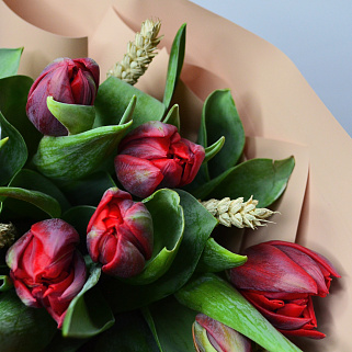 Букет из 15 красных пионовидных тюльпанов с колосками