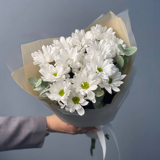 Букет из 3 кустовых хризантем Bacardi и эвкалипта