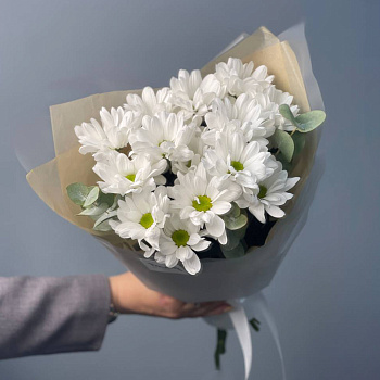 Букет из 3 кустовых хризантем Bacardi и эвкалипта