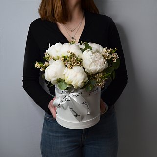 Букет в шляпной коробке из 7 белых пионов и ваксфлауэра